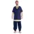 Tunic half sleeves V-shape collar bordeaux/blue